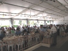 Attendees enjoy lunch and a chance to network